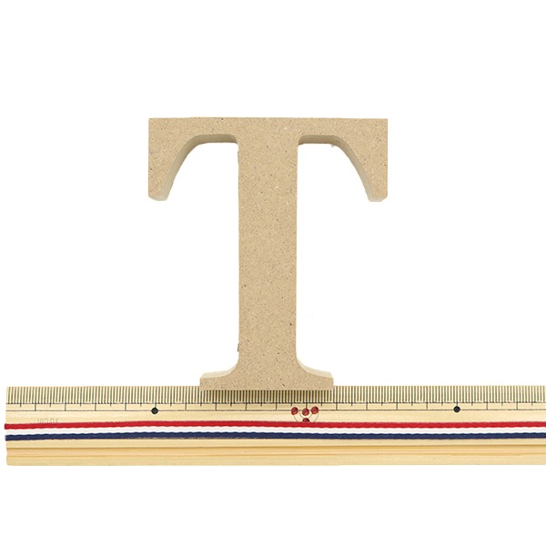 切り文字 『アルファベットレター T EE1-5069』 工芸,トール