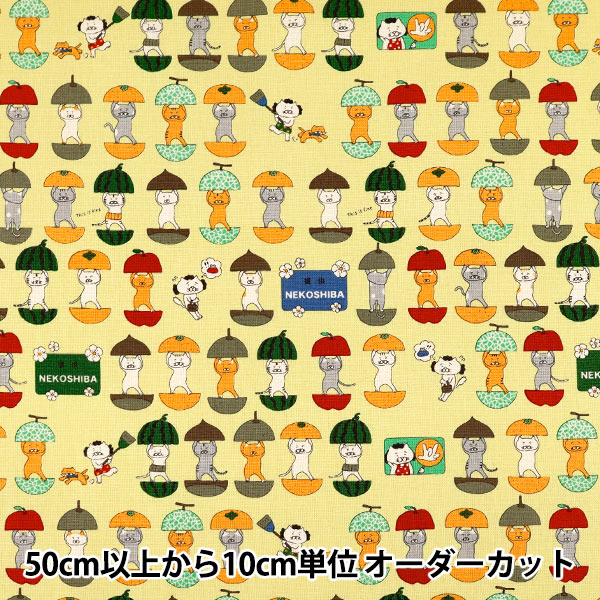 数量5から】 生地 『コットンキャンバス 愉快な猫さん サックス