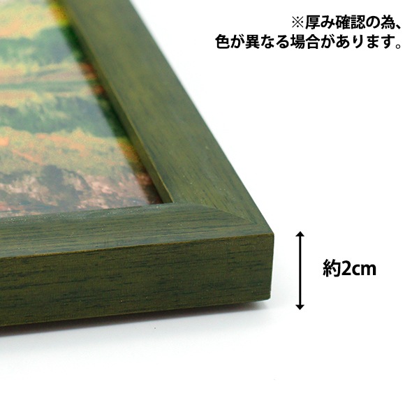 額 『フォトフレーム 八ツ切額 メラウス型 グリーン 山の湖 D2-F-MGR