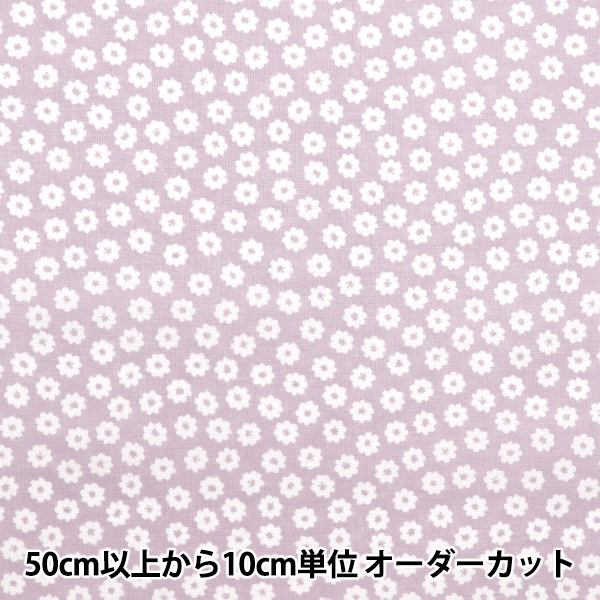 1_000000169995.jpg
