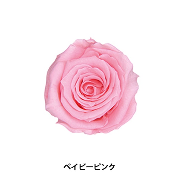 プリザーブドフラワー 『マイクロローズ イエロー FL060-02-YEL