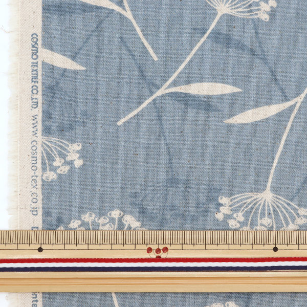 �ڿ���5����� ���� �����㥭���Х� �ʥ�����ե� �֥롼 AP21703-2C��
