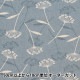 �ڿ���5����� ���� �����㥭���Х� �ʥ�����ե� �֥롼 AP21703-2C��