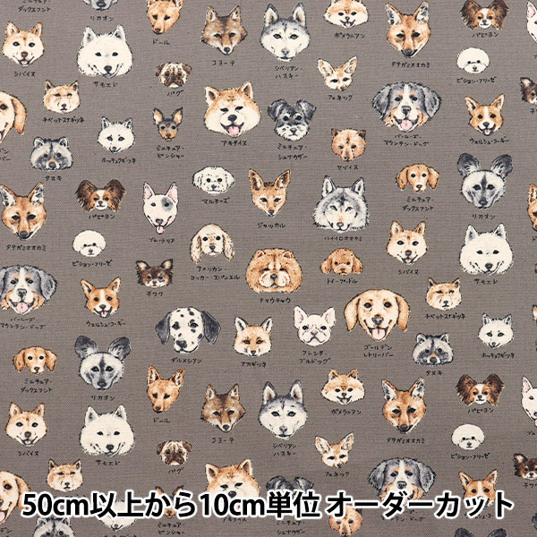 数量5から】 生地 『オックス NOVA犬パン柄 ベージュ NOX-DOBR