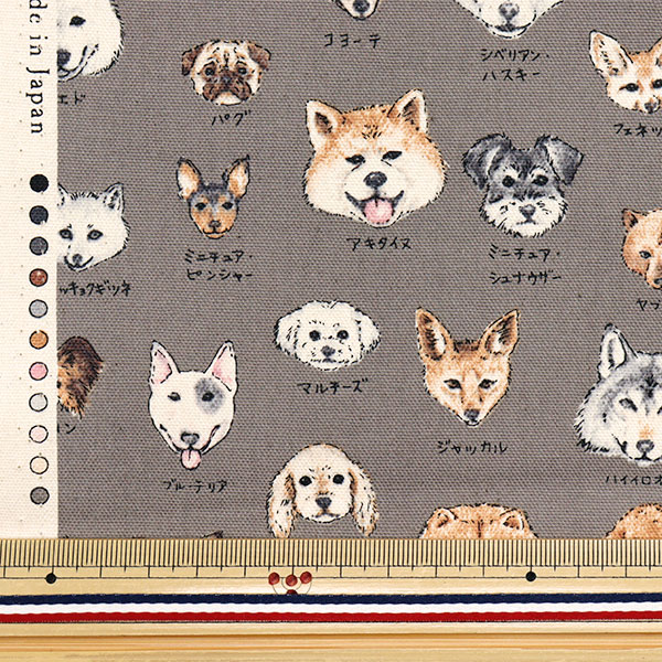 The Age of Natural History | Kyoto University Rare Materials