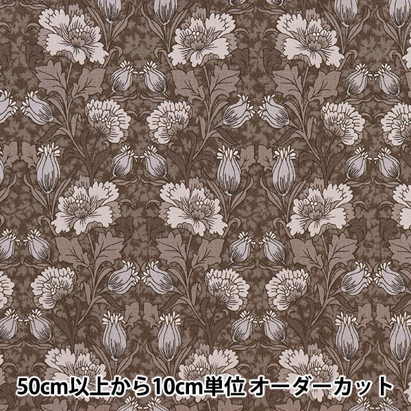 �ڿ���5����� ���� �إ��㡼�ƥ��� ���� ���������졼 CC823163-3�� YUWA ͭ�ؾ�Ź �����ޥ󥳥쥯�����