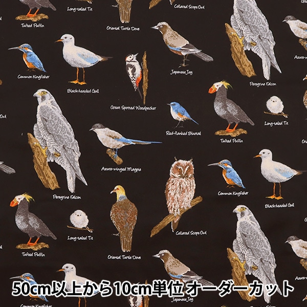数量5から】 生地 『ツイル 野鳥図鑑 ブラック KTS6890-E
