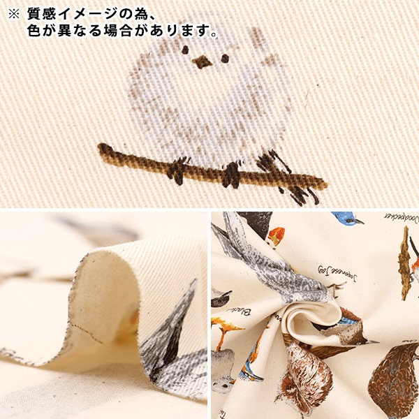 数量5から】 生地 『ツイル 野鳥図鑑 ブラック KTS6890-E』 COTTON
