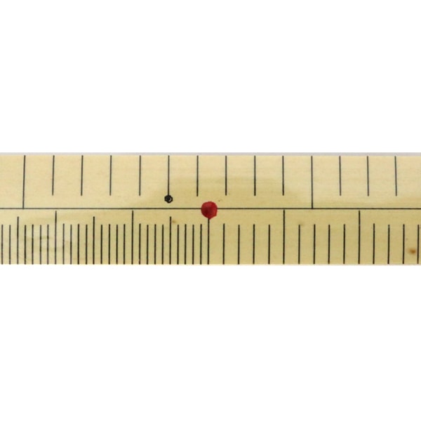 ものさし 『竹製ものさし 細巾 鯨尺2尺 cm付』 KA 近畿編針 ソーイング