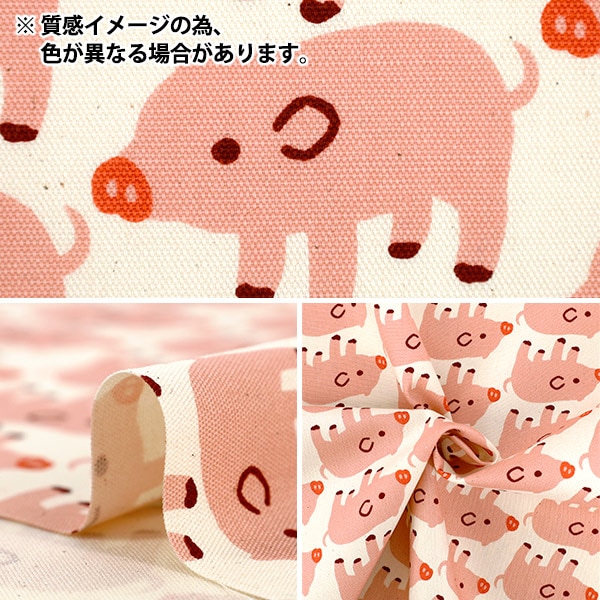 数量5から】 生地 『オックス 未晒コットン ブーブーピッグ グレー