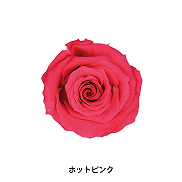 プリザーブドフラワー 『ミニカーネーション ミルフィーユ ホワイト