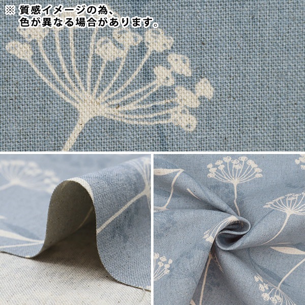 �ڿ���5����� ���� �����㥭���Х� �ʥ�����ե� ���졼 AP21703-3D��
