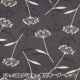 �ڿ���5����� ���� �����㥭���Х� �ʥ�����ե� ���졼 AP21703-3D��