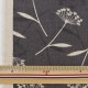 �ڿ���5����� ���� �����㥭���Х� �ʥ�����ե� ���졼 AP21703-3D��