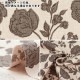 �ڿ���5����� ���� �����㥭���Х� ���륨�åȥ����� ���꡼�֥��꡼�� 38096-1C��