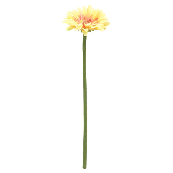 押し花素材 黄色の小さなガーベラセット(茎付き) （造花 シルク 