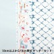 ڿ5  إå إ ͤ  AP45205-2A