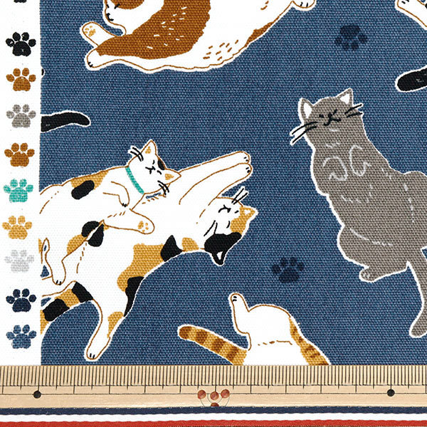 へそちゃにゃんこ。様専用 へそちゃにゃんこ様専用 ピュアモイスチャー