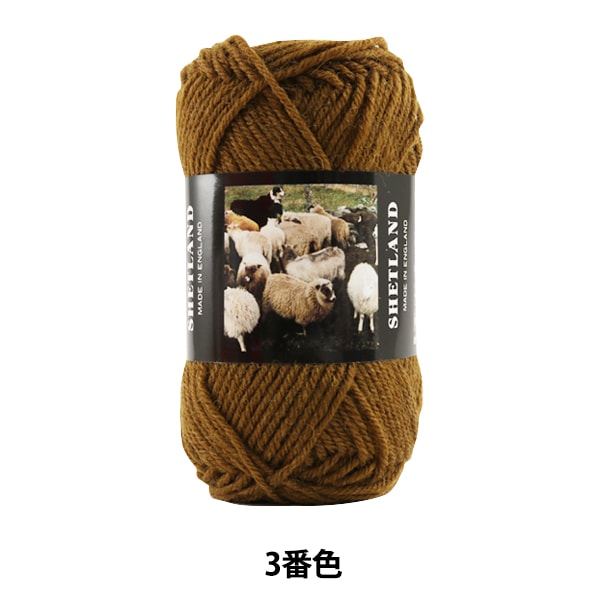 ӻ SHETLAND (åȥ) 3ֿ Puppy ѥԡ