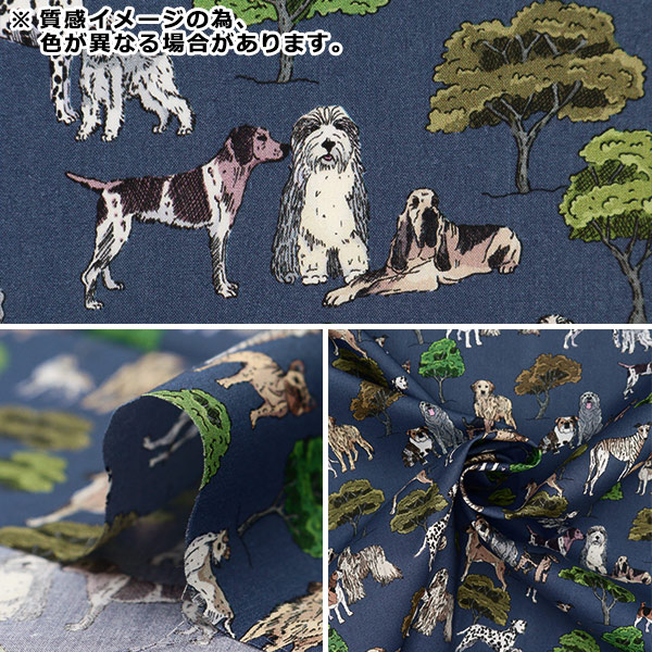 リー・ローランサン、犬と鳥と女、大判、額装用画集より、新品