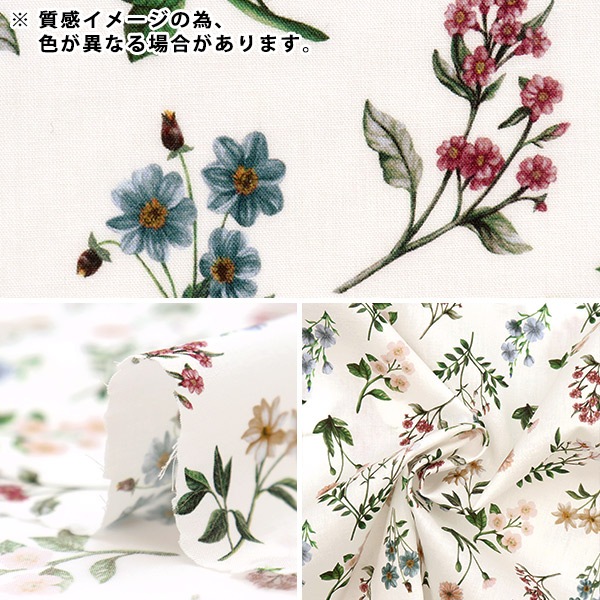 ڿ5  LIBERTY Хƥץ ʥ ˡ 3632005-CE Liberty Japan Хƥѥ