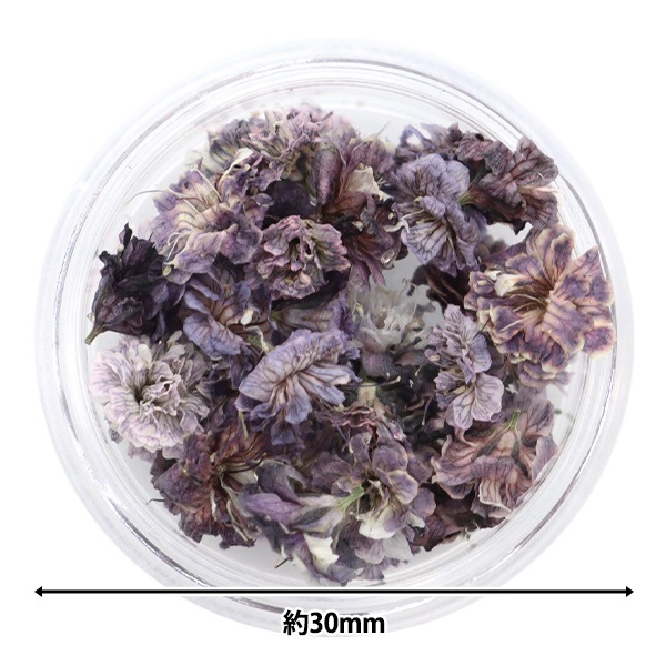 パール‎‎様◇【訳あり】かすみ草♡（ 732 ドライフラワー パーツ