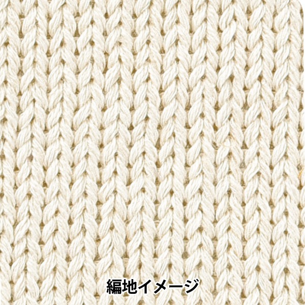 春夏毛糸 『ネイチャーロール 1番色』 【ユザワヤ限定商品】 毛糸_