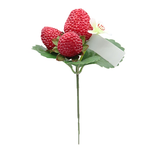 إȥ٥꡼ԥå FD5615 R