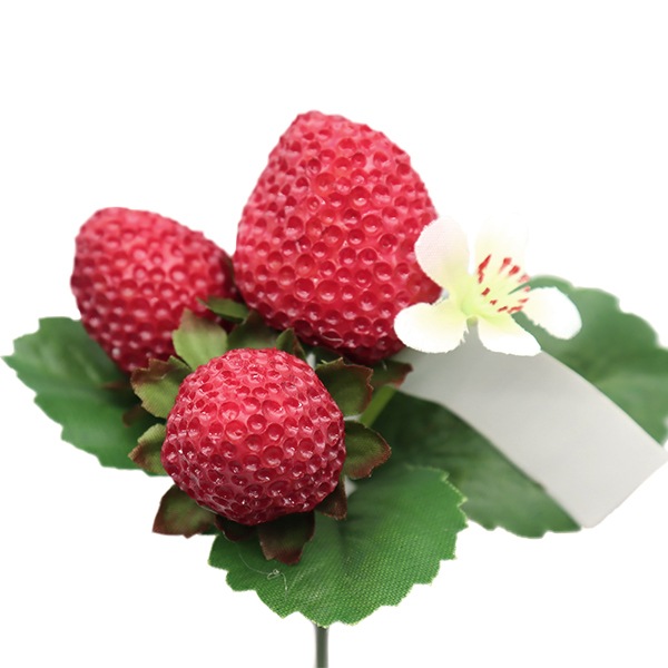 إȥ٥꡼ԥå FD5615 R