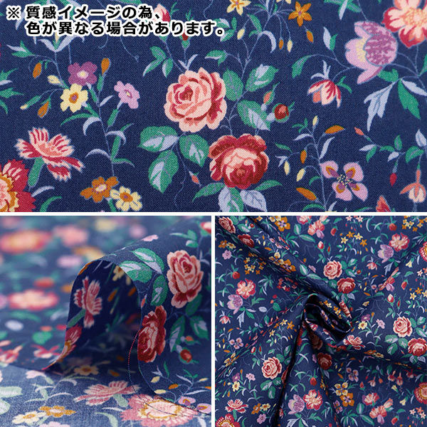 ڿ5  إХƥե֥å ʥ եɥܥ˥ 3634197-24BU Liberty Japan Хƥѥ