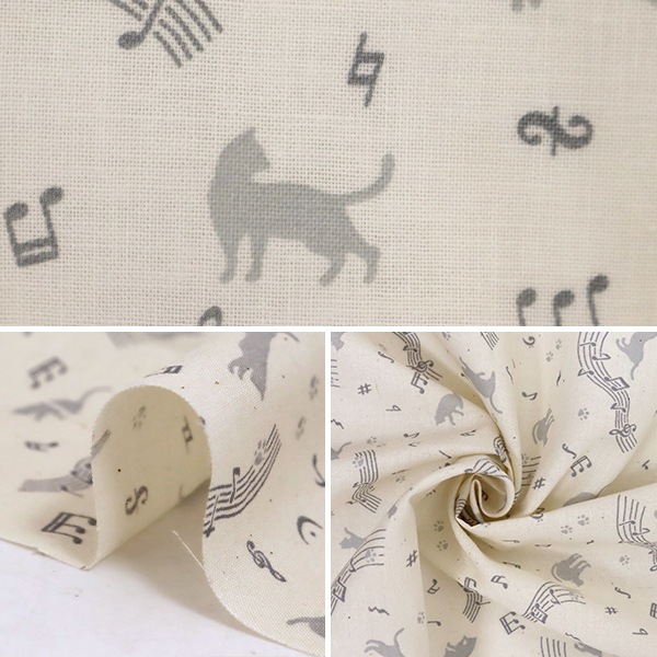 ڿ5  إ åץ ͤ ʥߥ졼 KW-3115-11F