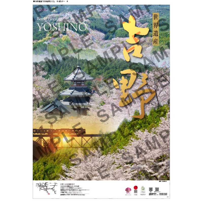 ������ݥ�����2020ǯ�ǡ�B2�ˡڵ���ӥ��������ӥ塼������