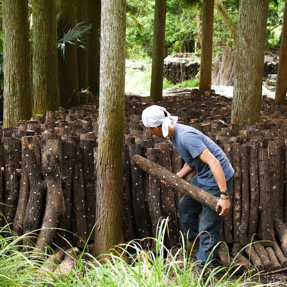 ���˹�����˧��ʹ�ꡪ����ο����ʶ����ȿ塢�ڤα��ܤ򤿤äפ�����ư�ä���������(600g)��������¸�ġڿ�����������������ȡ�