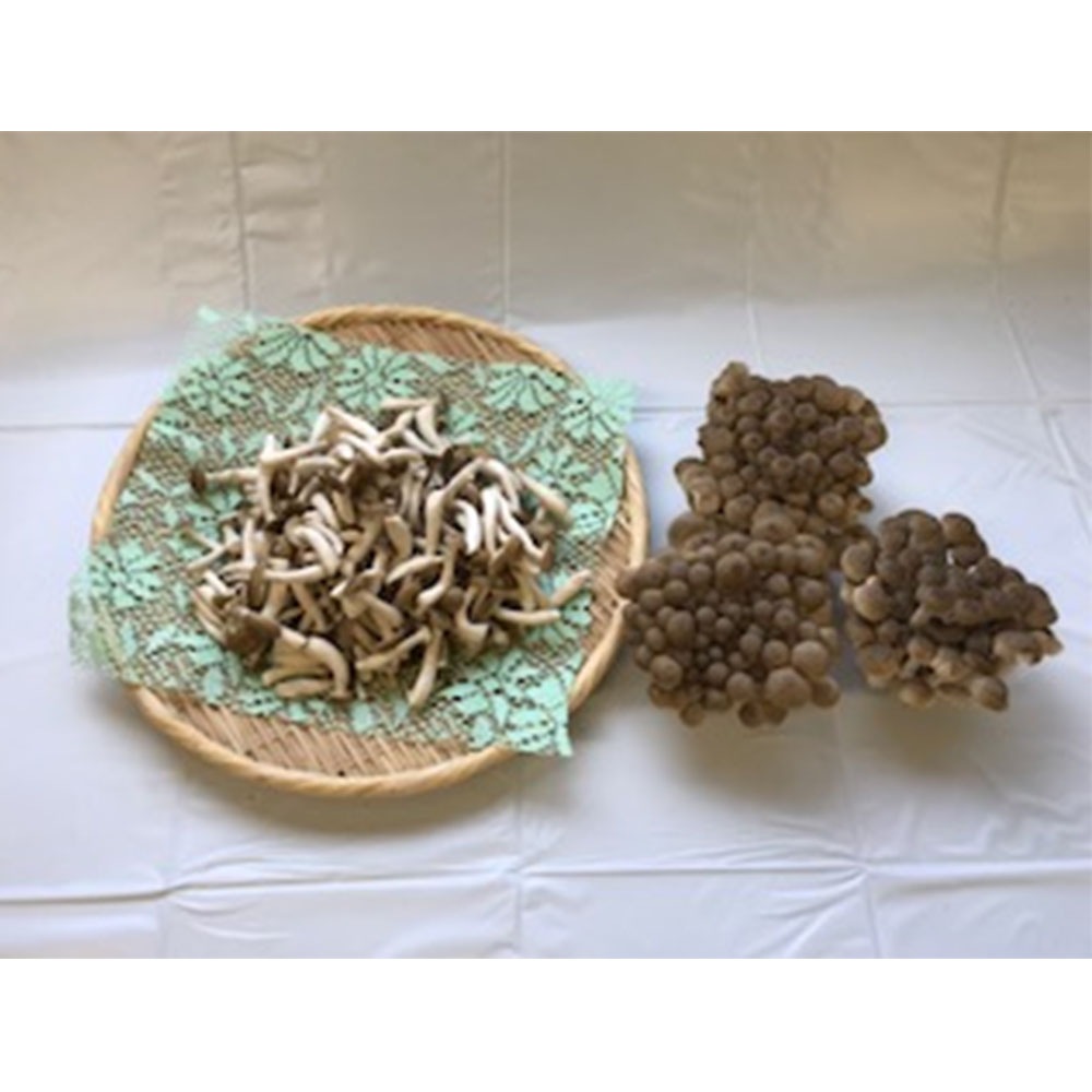 �褷�Τ��ᤸ(�ۤ���) �ڻ��ܤ��Τ����