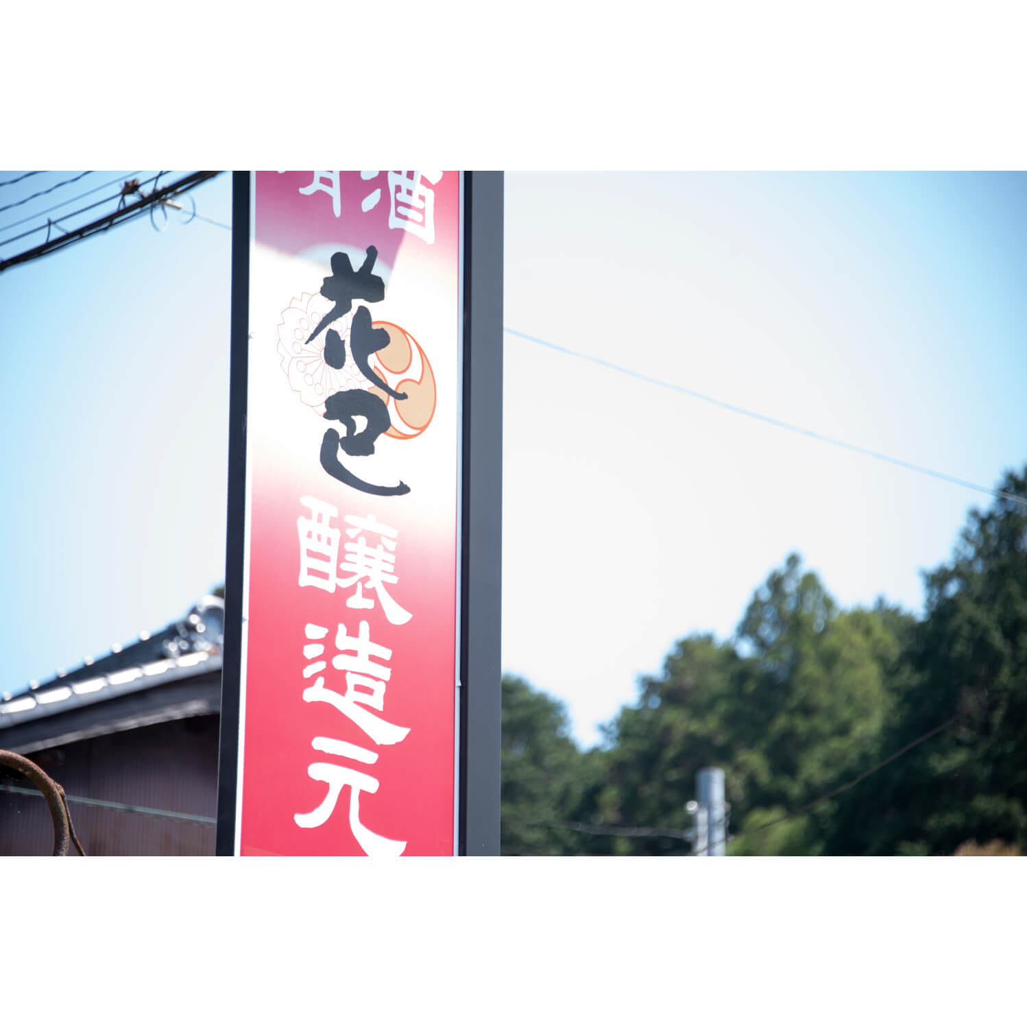 ����ֲ��á����������ס�720ml�ˡڵ���ӥ��������ӥ塼������