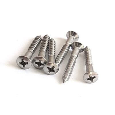 【YJB PARTS】 ブリッジマウント・エンドピン用ビス ステンレス 6本入り 【国産品】 【メール便対応】