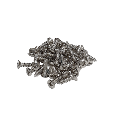 【YJB PARTS】 ピックガード用ビス ミリサイズ 40本パック 国産品 (ステンレス) 【メール便対応】