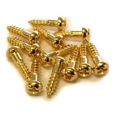 【YJB PARTS】 ペグ・ロッドカバー用ビス ゴールド 12本入り 【国産品】 【メール便対応】