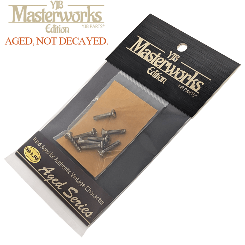 【YJB Masterworks】 ピックアップ&レバースイッチ用エイジドスクリュー 丸皿 ニッケル インチサイズ 8本 【メール便送料無料】