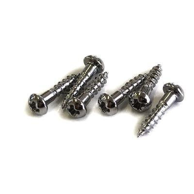【YJB PARTS】 ロトマティックペグ用ビス クローム 6本入り 【メール便対応】
