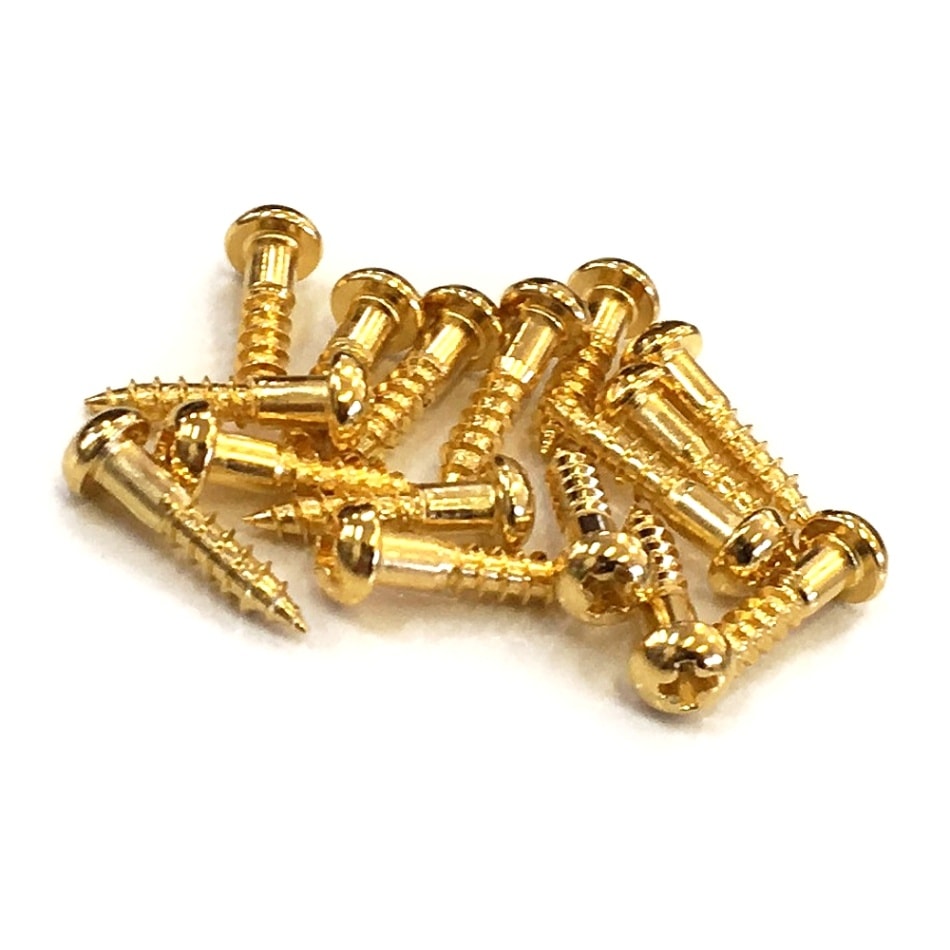 【YJB PARTS】 クルーソンタイプベースペグ用ビス ゴールド 16本入り 【メール便対応】