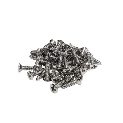 【YJB PARTS】 ピックガード用ビス ミリサイズ 50本パック 国産品 (クローム) 【メール便対応】