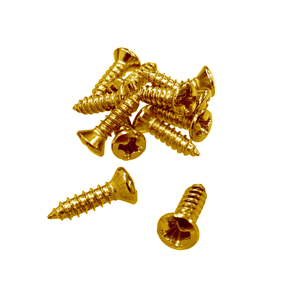 【YJB PARTS】 インチ規格Gタイプ ピックガード・プレート用ねじ(ゴールド)12本入り 【メール便対応】