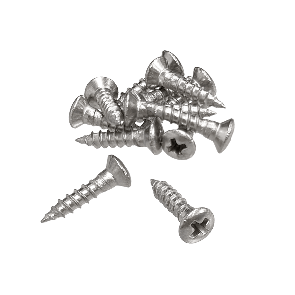 【YJB PARTS】 ピックガード・パネル用ビス Φ2.7mm ミリサイズ ステンレス12pcs 【メール便対応】