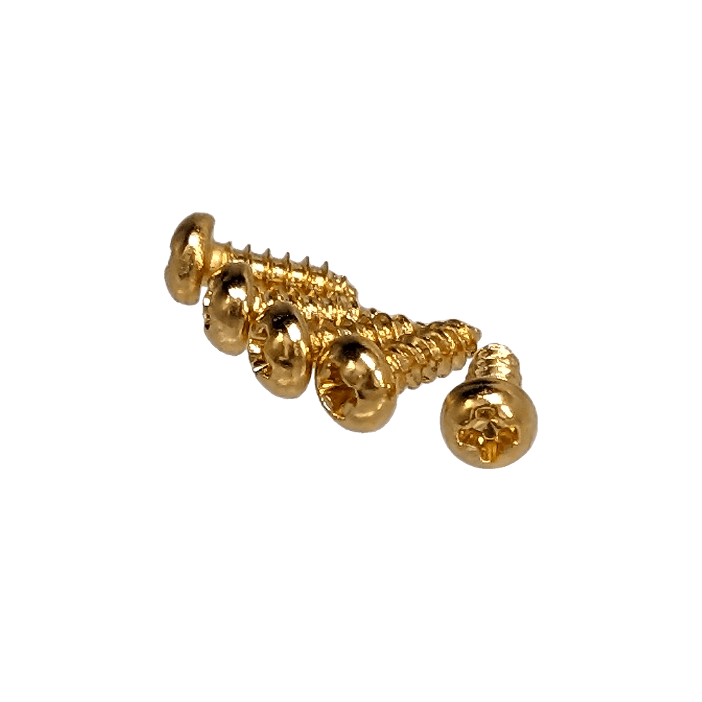 YJB PARTS ロッドカバー用スチールネジ ゴールド インチ(#2×1/4