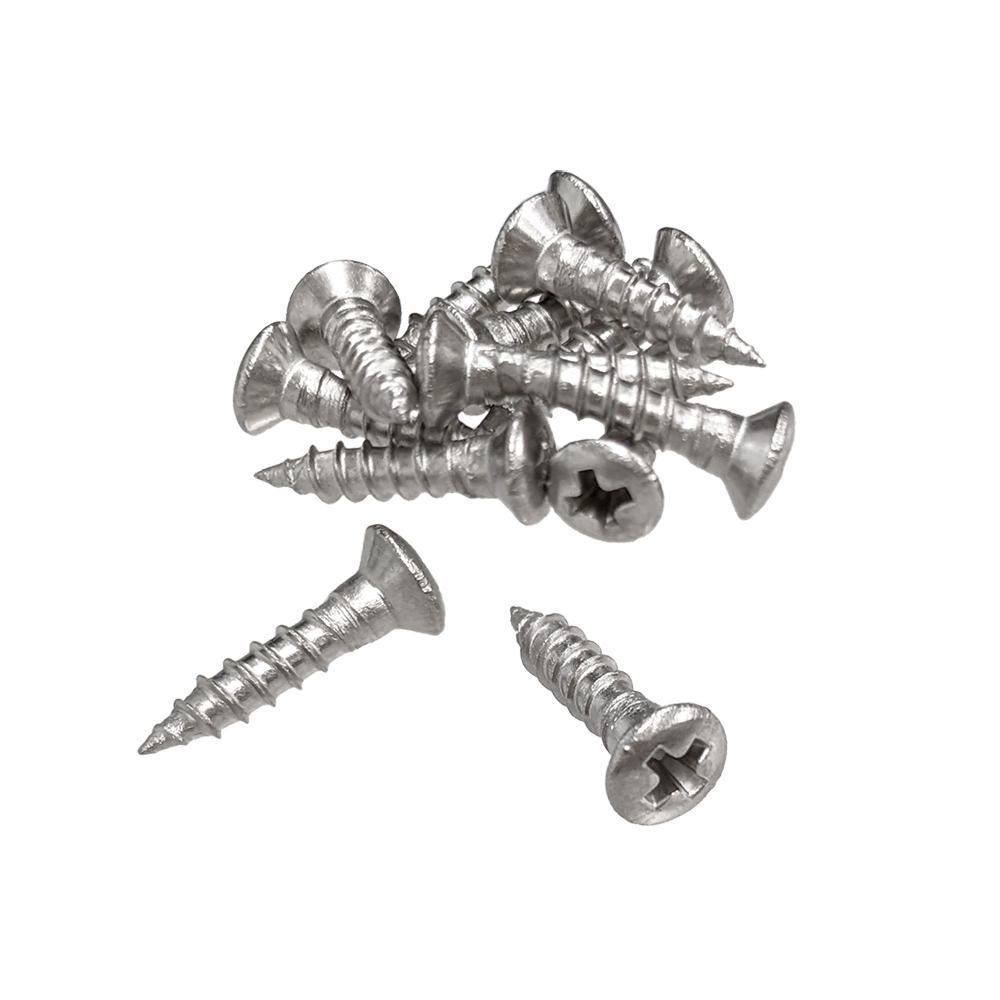 【YJB PARTS】 ピックガード・パネル用ビス Φ2.7mm ミリサイズ ステンレス12pcs 【メール便対応】