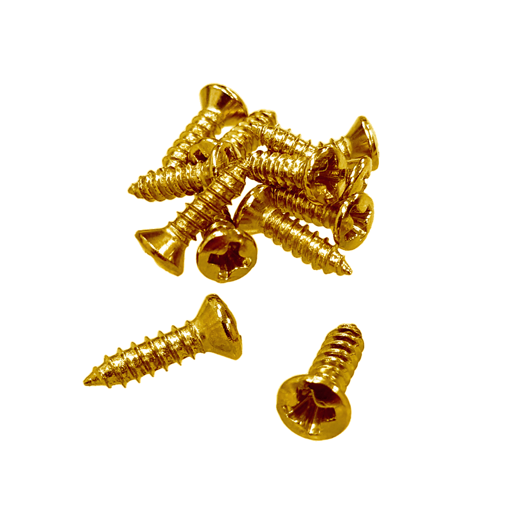 【YJB PARTS】 インチ規格Gタイプ ピックガード・プレート用ねじ(ゴールド)12本入り 【メール便対応】