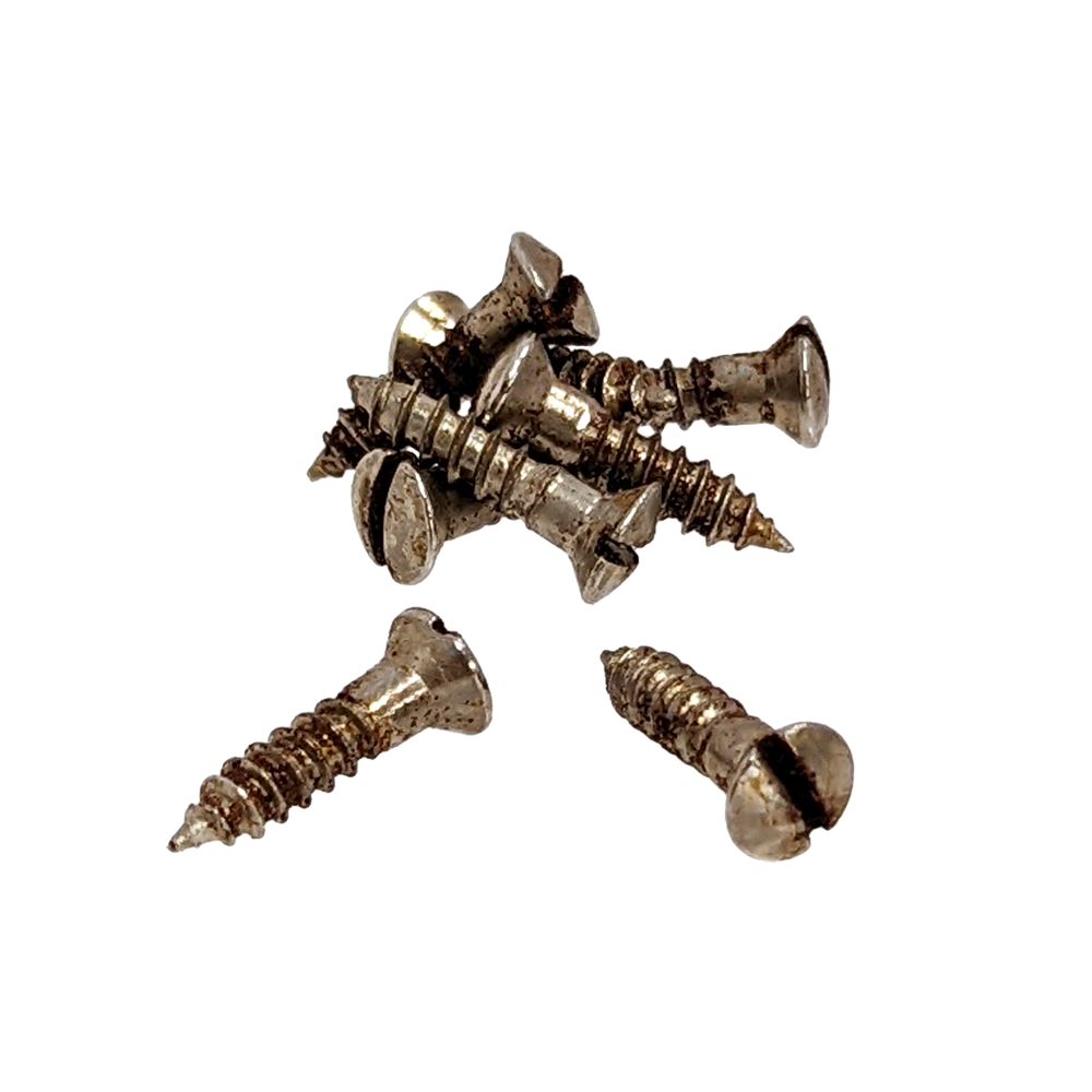 【YJB PARTS】 レリックスクリュー ピックガード用(マイナスネジ) インチサイズ 8本入り 【メール便対応】