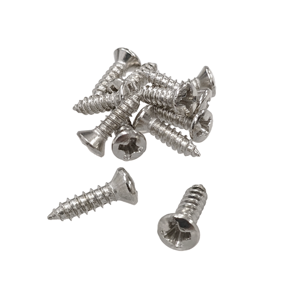 YJB PARTS インチ規格Gタイプ ピックガード・プレート用ねじ 12本入り ステンレス 【メール便対応】