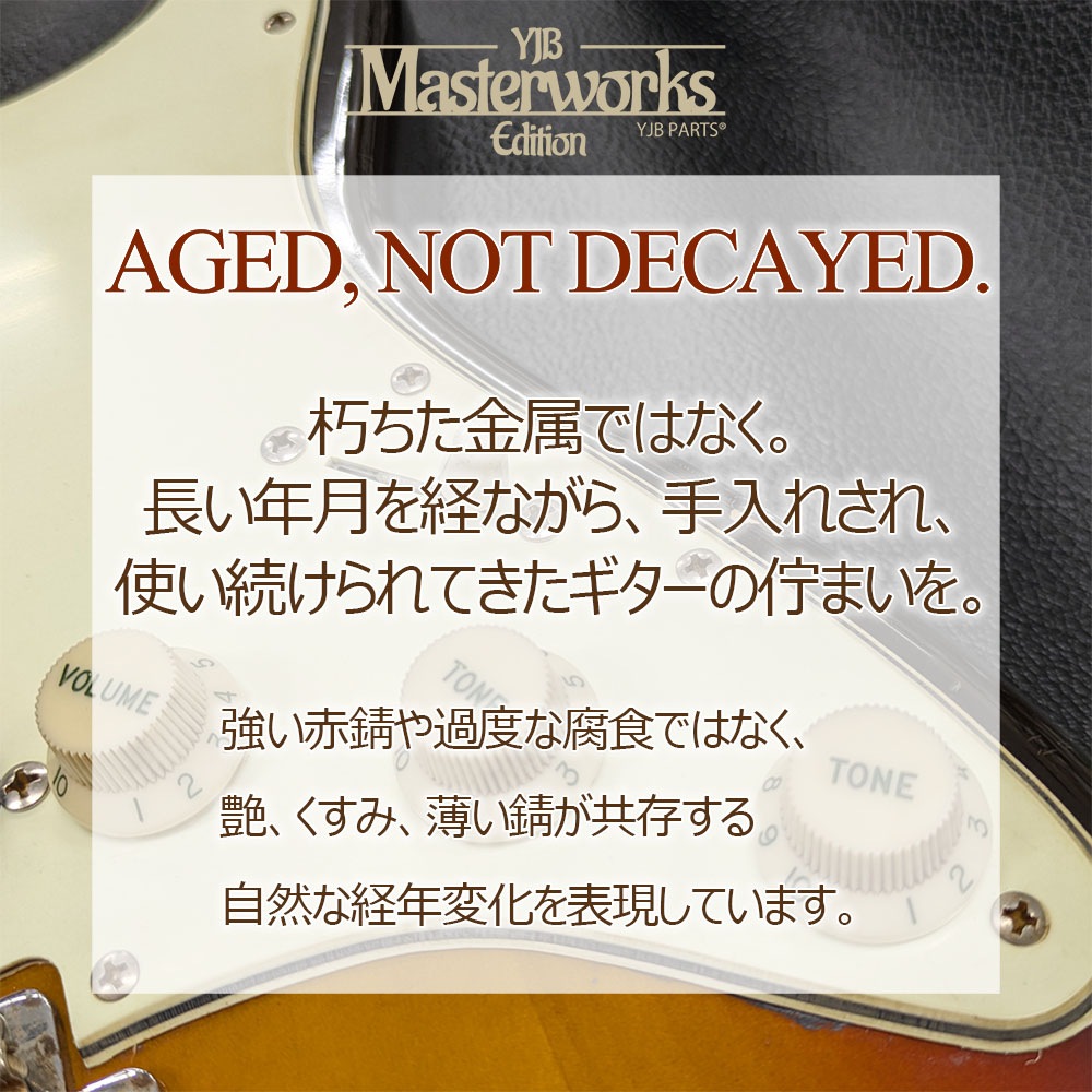 【YJB Masterworks】 ピックガード用エイジドスクリュー ニッケル ミリ 3×12mm 12本 【メール便送料無料】